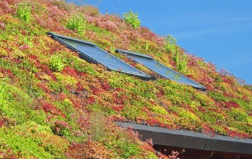 Mill Of Kincardine living roof systems